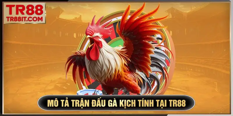 mô tả trận đấu gà kịch tính tại tr88