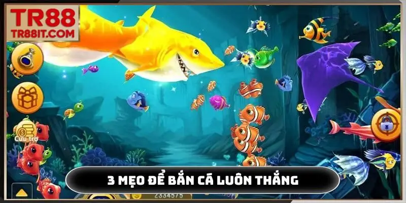 3 mẹo để bắn cá luôn thắng