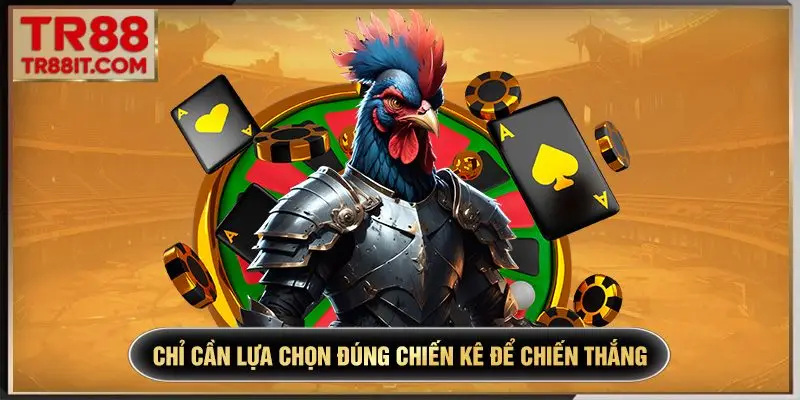 Chỉ cần lựa chọn đúng chiến kê để chiến thắng