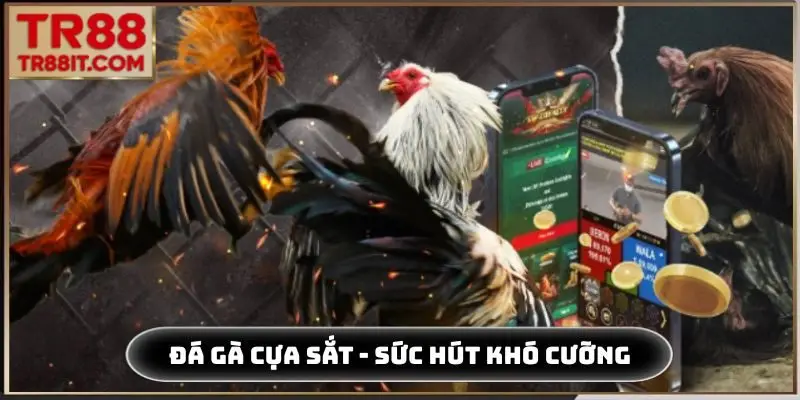 đá gà cựa sắt tr88